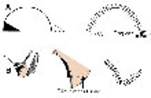 step6B_veterinary_110-669231-1384319253541.jpg