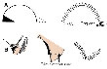 step6B_veterinary_110-669259-1384319163519.jpg