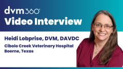 How chronic inflammation shapes aging and oral disease in dogs