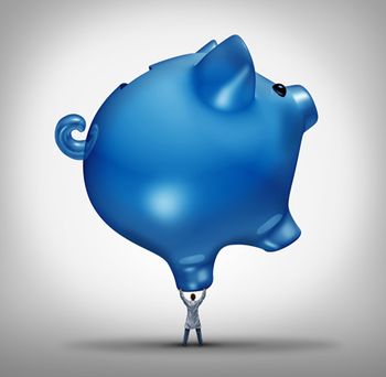 veterinary-hospital-costs-health-care-budget-concept-as-a-doctor-holding-shutterstock-302544869-450.jpg
