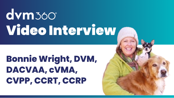 Why acupuncture can complement pharmaceuticals in chronic disease