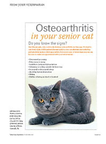 veterinary_OAhandout_0913-821938-1404219613087.jpg