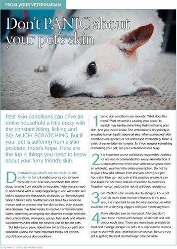 veterinary_handout_derm_panic_450.jpg
