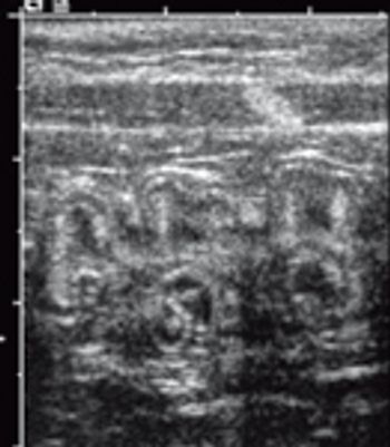 i4-448741-1384751147957.jpg