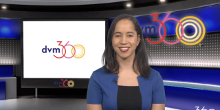 VMX wrap-up: Feline allergies, obesity, bad reviews, and canine anxiety