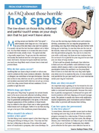 hot_spot_handout_screenshot_220.jpg