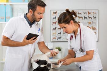 vet students fear free