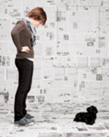 97361814_train_puppy_newspaper-746128-1384171626580.jpg
