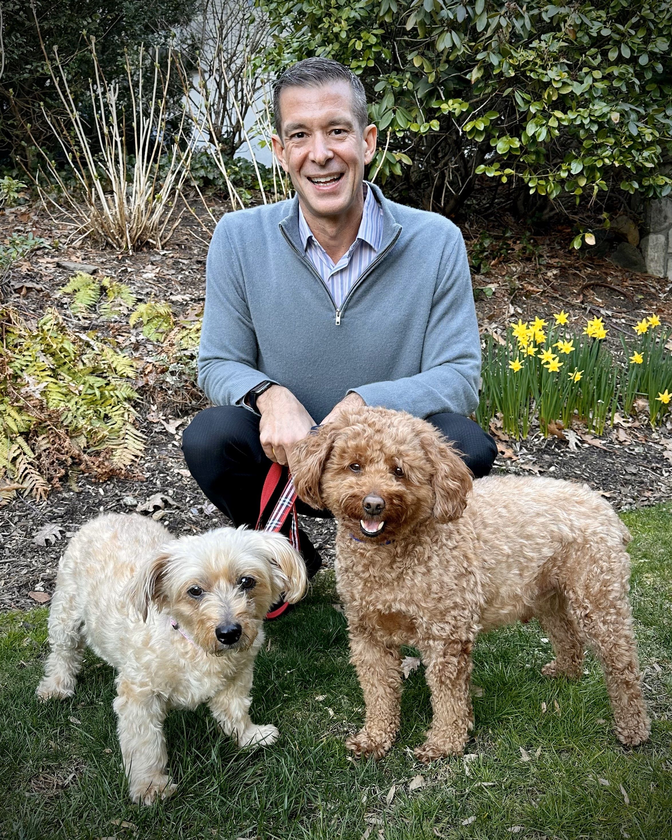 Paws and profits: Spotlighting veterinary business promotions in the ...
