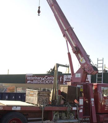 01veterinary_exotics_ext7-664961-1384321572656.jpg