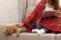Wrap up: Earlier canine arthritis detection via blood panel, and other news 