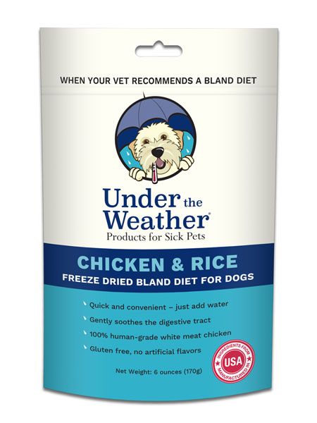 bland diet for dogs with pancreatitis