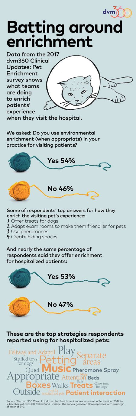 veterinary-data-enrichment-450pxscrollPS.jpg