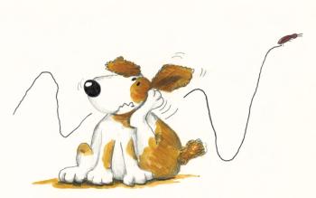 scratching dog