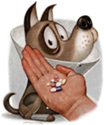 013113-DVM-Obenski-807414-1382856753415.jpg