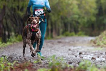 running 5k with dog