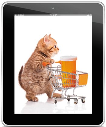 veterinary-pet-shop-concept-british-cat-with-shopping-cart-isolated-on-white-shutterstock-342773123-body.jpg