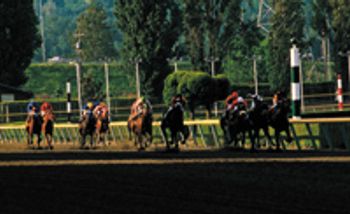 Veterinary_horse_racing_92840137-797393-1384155365244.jpg