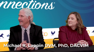 Socialization for puppies affected by Parvo