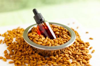 CBD for pets