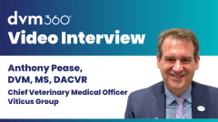 How WVC is using continuing education to drive clinical efficiency