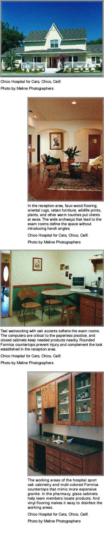 pampering-140465-1384783986870.gif