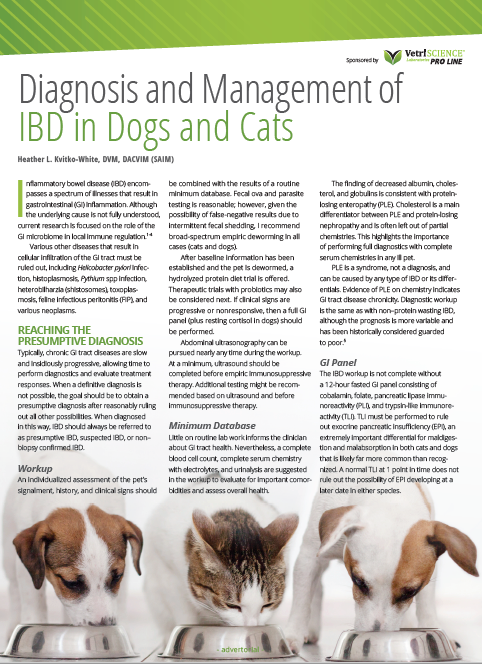 what causes inflammatory bowel disease in dogs