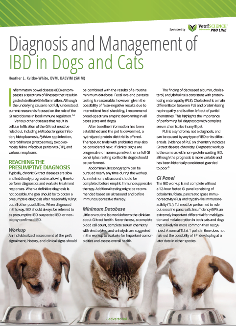 Diagnosis and management of IBD in dogs and cats