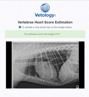 vetology_4.png