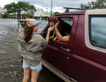 irma-flooding-body.jpg