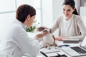 Veterinary-Vet-with-clientAdobeStock_137199676-MAIN.jpg