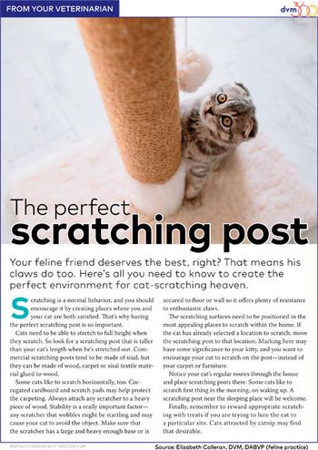 scratching-post-handout-450.jpg