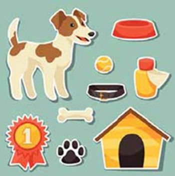 veterinary_idea_dosimetry_sticker_220.jpg