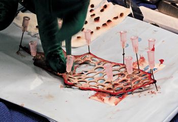 veterinary_Kelleher_Figure2_450.jpg