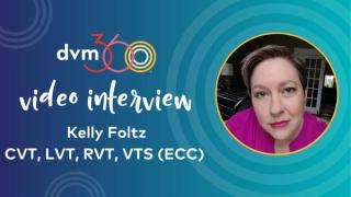 The importance of multimodal analgesics in feline pain