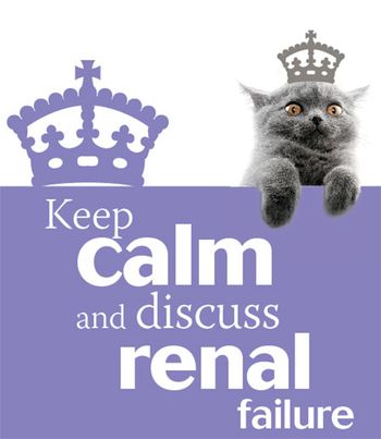 renal450.jpg