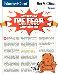 Addressing Noise Aversion