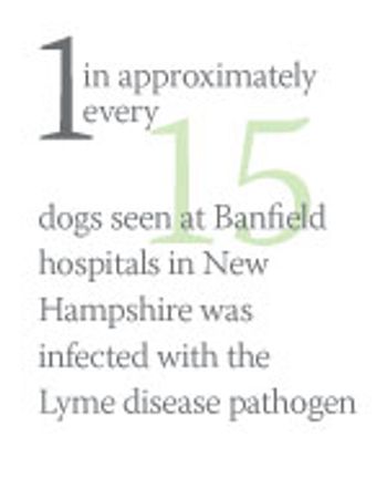 Lyme_bold_stat2-840756-1404210678513.jpg