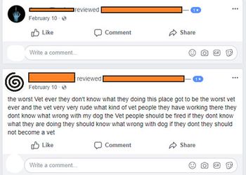 veterinary-capasso-Brothers-450.jpg