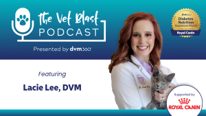 Beyond insulin: What’s new in feline diabetes