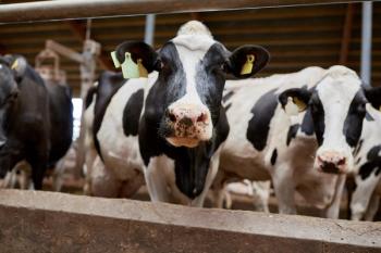 Avian influenza confirmed in dairy cattle in Washington for the first time
