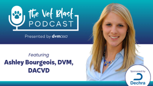 Vet Techs in Action: Helping Your Clinic Succeed in Dermatology