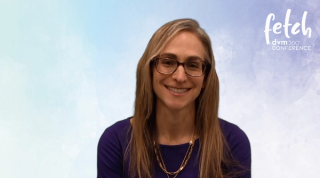 Feline gastrointestinal lymphoma signs