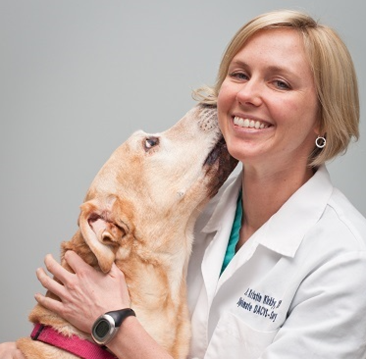 Episode 26: Hope For Canine Osteoarthritis Sufferers-dvm360