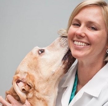 Kristin Kirkby Shaw, DVM, MS, PhD, CCRT, DACVS, DACVSMR