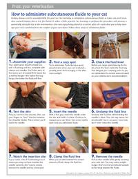 subcutaneous fluids for cats