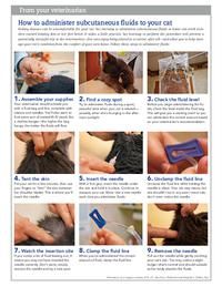 How To Administer Subcutaneous Fluids To A Cat