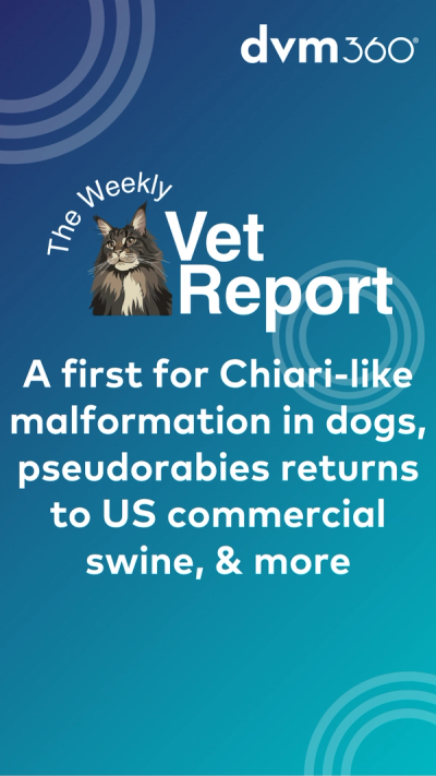 Weekly Vet Report: A first for canine Chiari-like malformation, pseudorabies returns to US commercial swine, & more