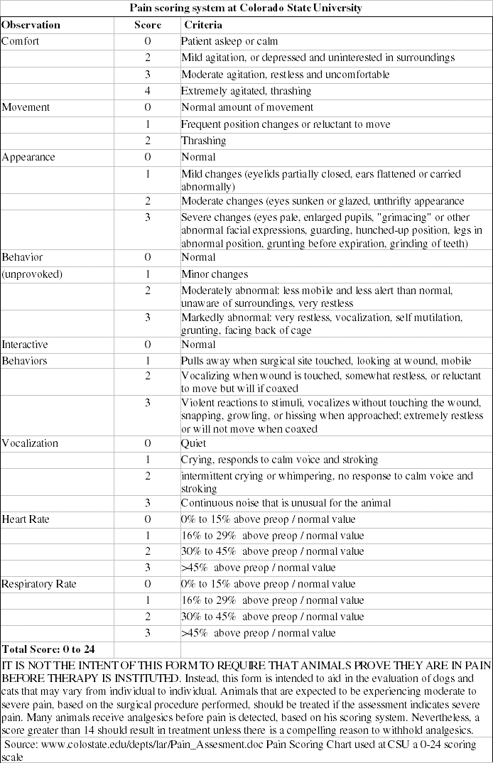 Cancer pain management (Proceedings)