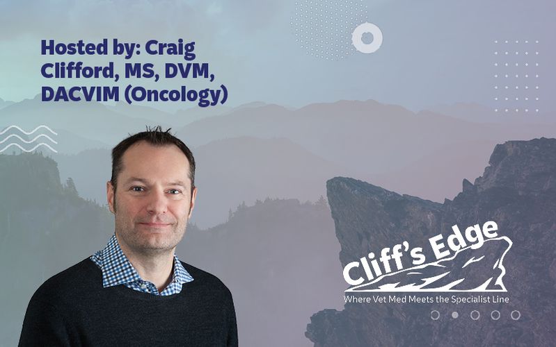 Cliff's Edge